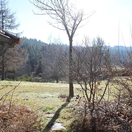 Holiday home D'odile Le Chambon-sur-Lignon